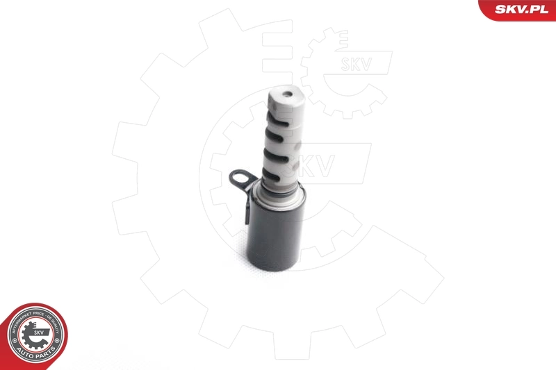 Control Valve, camshaft adjustment